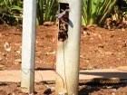 Photo #2. Complaint-review: Centurion Municipality - Water & Tampering of street lights.