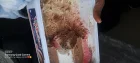 Complaint-review: American palor - Ice cream