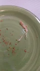 Photo #2. Complaint-review: Blue Ribbon Bread - Unsatisfactory Loaf of purchased bread.