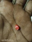 Photo #2. Complaint-review: Bluff Meat Supply - Object in food product.