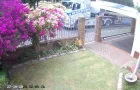 Photo #3. Complaint-review: Wardens Liquid Bulk - Truck up a one-way.