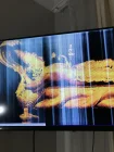 Complaint-review: Hisense South Africa - Warranty return problem new Hisense Tv