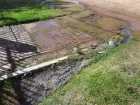 Photo #3. Complaint-review: Matjhabeng Municipality - Unbearable Sewage.