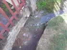 Photo #4. Complaint-review: Matjhabeng Municipality - Unbearable Sewage.